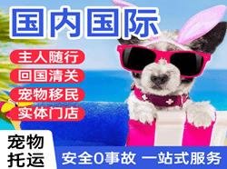 喀什空运代理国际宠物托运 【国